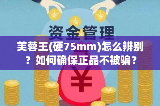 芙蓉王(硬75mm)怎么辨别？如何确保正品不被骗？